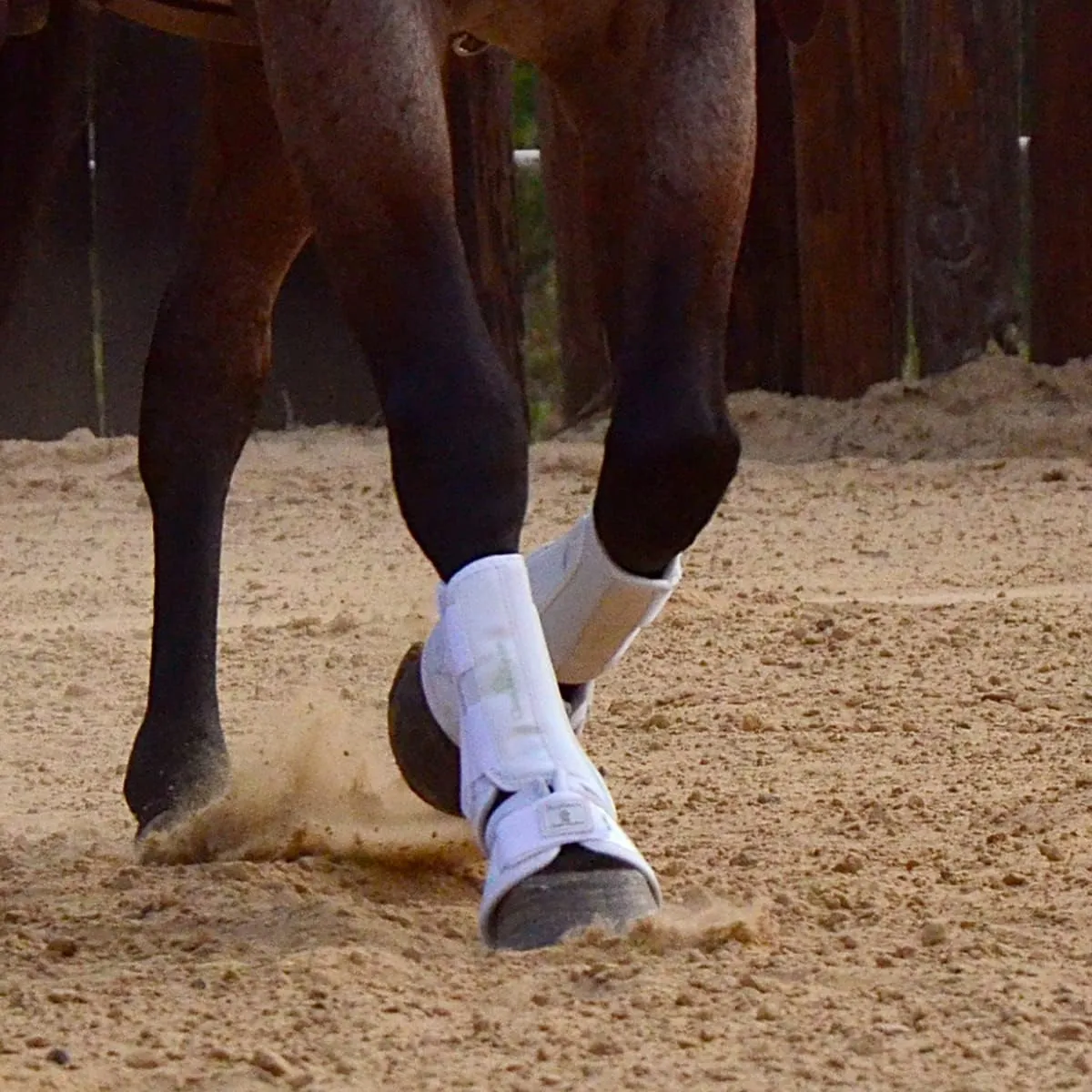 Classic Equine Combat Boots