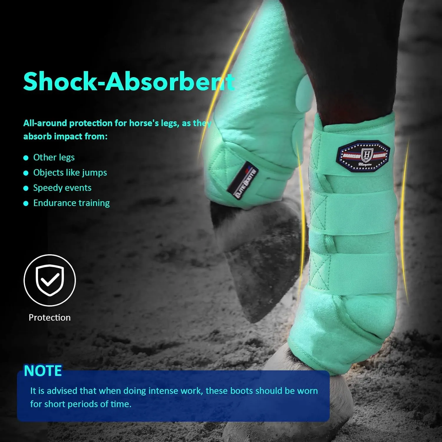 Harrison Howard Horse Sport Medicine Front Shock-Absorbing Boots All-Round Lower Limb Protection & Support Sport Boots Perfect for Endurance Training and Performance Pack of 2 Mint M