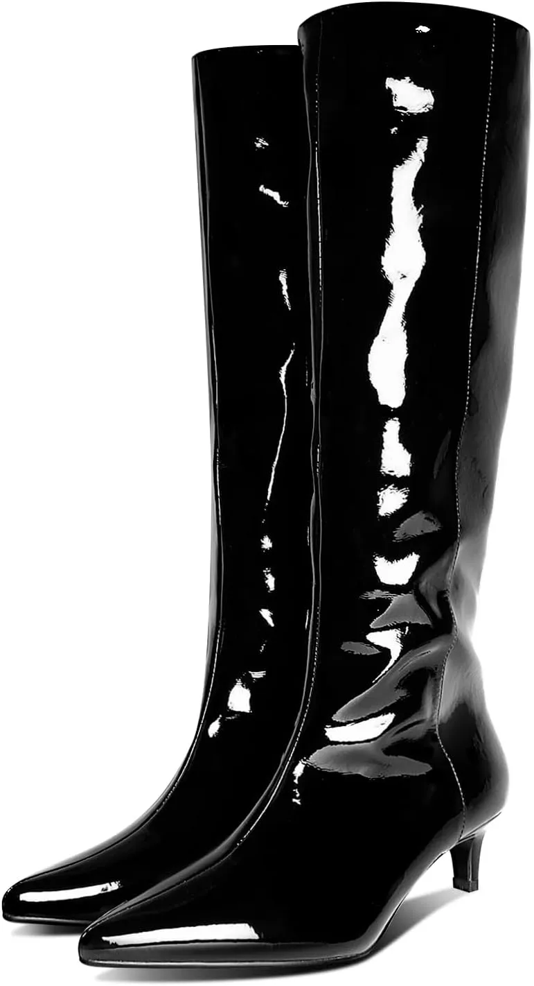 Womens Boots Knee High Kitten Heel Tall Boots For Women Pointed Toe Low Heel Fahion Fall Dress Long Boots